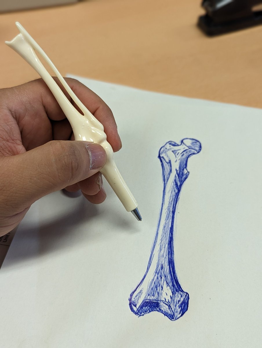 BKBindalla's tweet photo. Bone sets the tone https://t.co/Ss8ttUr8ka