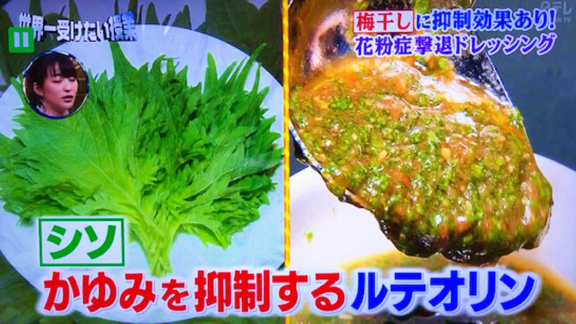 辛い花粉症と頑固な便秘をWで撃退！？テレビで紹介された『花粉症撃退ドレッシング』が凄かった！