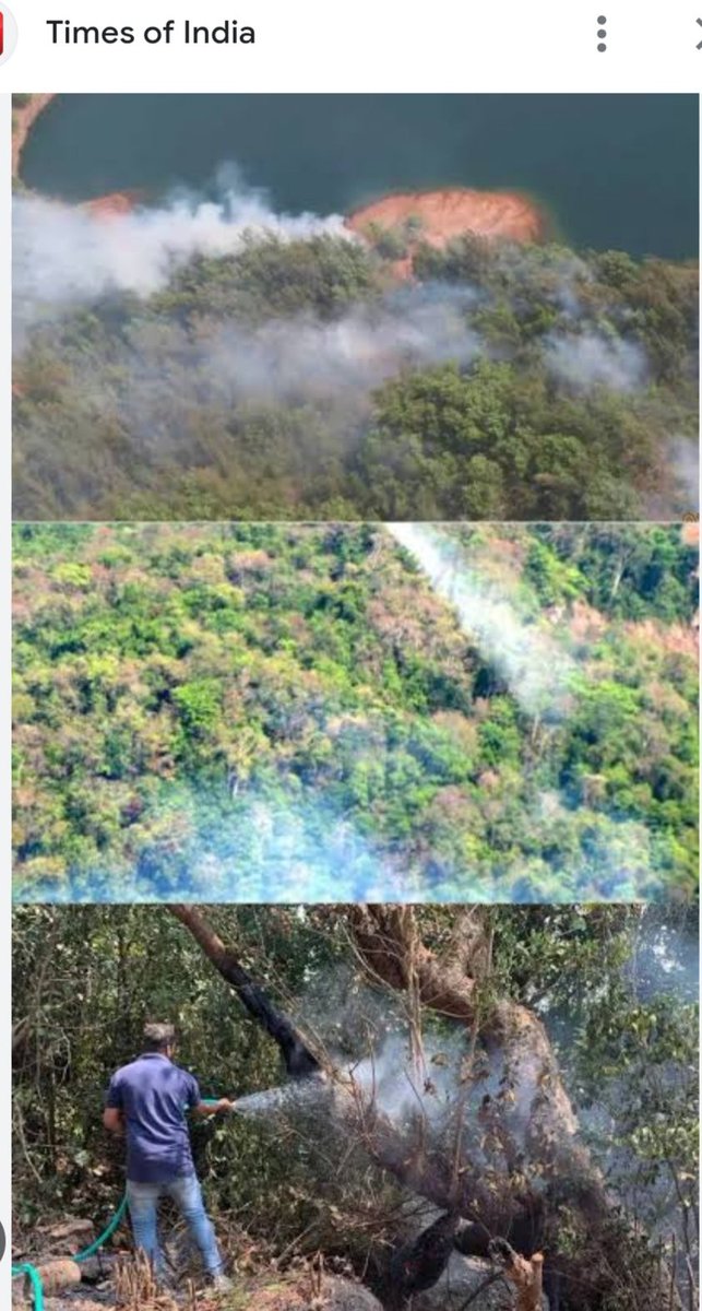 Goa’s forests have seen 100s of fires in the last ten days. Large tracts of primary forests have been damaged, destroying the lives of all the creatures that call it home          #StopDoubleTracking 
#GoaIsBurning 
#SaveMollem