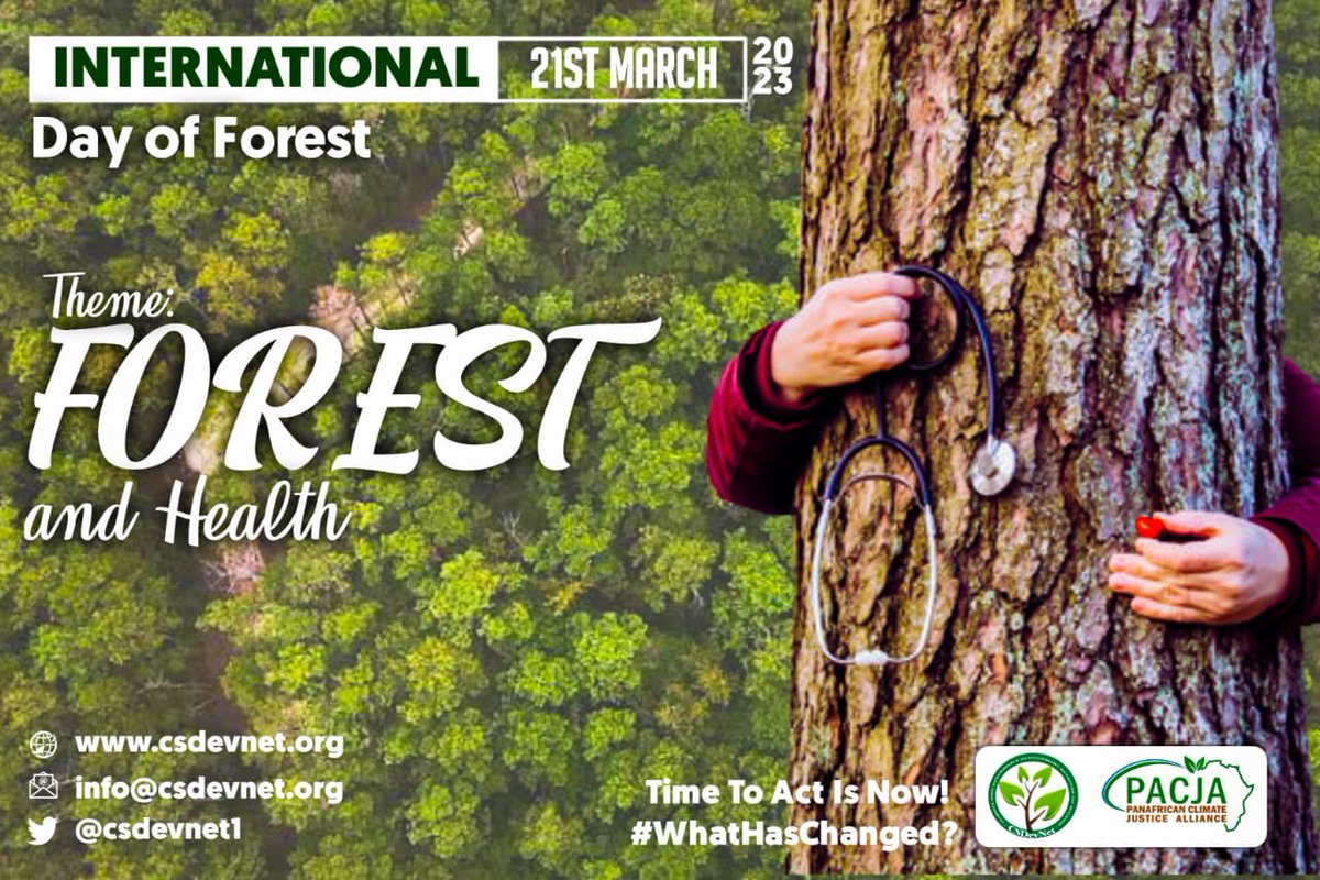 mariamCJA's tweet photo. Directly or indirectly forest provides important health benefits, some of these trees are medicinal #Govt should manage our forests for human benefits.
#WhatHasChanged
#InternationalDayOfForest
#TreesForAll
@CSDevNet1 @PACJA1
@FMEnvng @FAOForestry https://t.co/HllWHvl60r