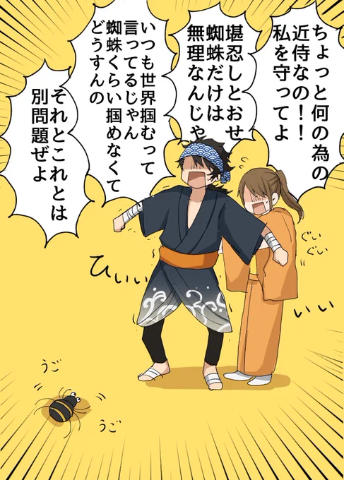 でっかい蜘蛛が出た時のうち本丸 