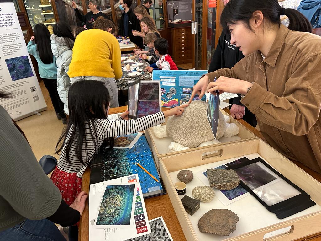 EarthSciCam's tweet photo. Two of our PhD students, Madi East and Winnie Fang, ran a coral making activity with families at the @SedgwickMuseum on Saturday. The colourful creations will feature in an ongoing museum display 🪸🐚🌊 

📷@TheMuseumOfLiz / @MadisonEast7 https://t.co/7Wg71sy5cf