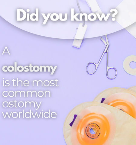 Comfizz's tweet photo. πβDo you have a colostomy?
πβThis was followed closely by ileostomy.
#Stoma #Ostomy #Ileostomy #Colostomy #Urostomy #Comfizz #OstomyLife #OstomyEducation #HealthEducation #MedicalEducation https://t.co/fReiXyd61J