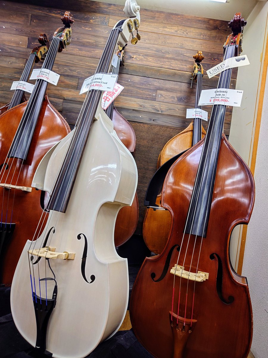 コントラバス Reghin Model 3/4 All Solid 中古美品