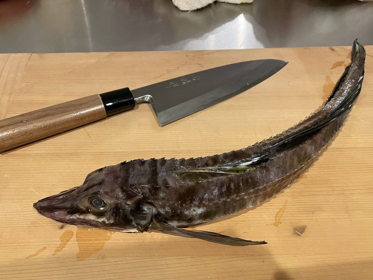 MeA811986's tweet photo. 実は魚いじるのが大好き。笑

北海道が誇る『八角』という魚です https://t.co/GrllFK1WXw
