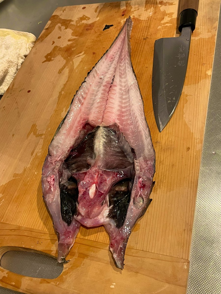 MeA811986's tweet photo. 実は魚いじるのが大好き。笑

北海道が誇る『八角』という魚です https://t.co/GrllFK1WXw