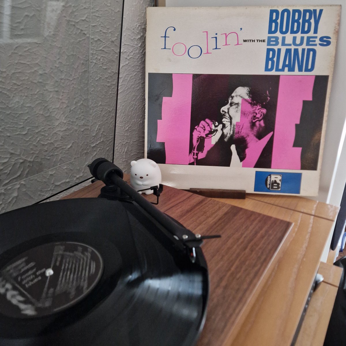 Brighter Day Record Shop tweet media