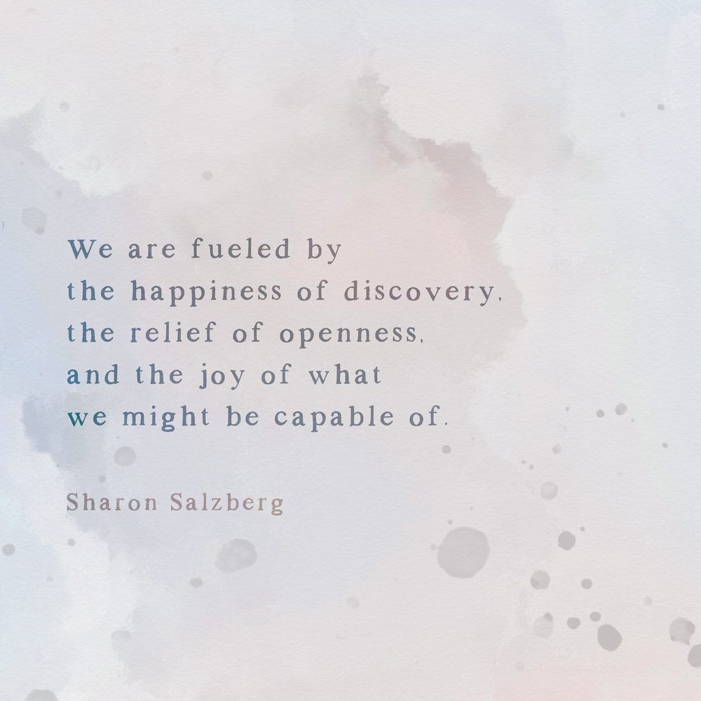 SharonSalzberg's tweet photo. This is not a one-and-done journey. It’s something we repeat again &amp; again, not because of compulsion or obligation but bc we are fueled by the happiness of discovery, by the relief of openness &amp; by realizing w/ joy the breadth and depth of what we might well be capable of. 1/3 https://t.co/jPsYadTvNk