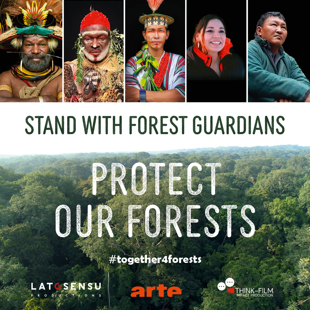 thinkfilmimpact's tweet photo. On World Forests Day we urge Member States to stand with five forest guardians and implement Deforestation-Free Products Regulation.

"Our Forests" series sheds light on the work done to protect primary forests and the need to address imported deforestation. 

#together4forests https://t.co/PJxGGrq8CL