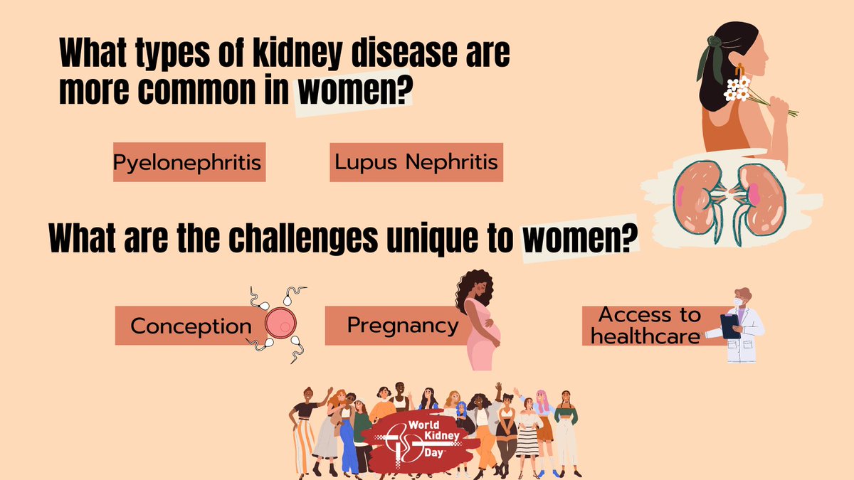 Women are at least as likely as men to develop Chronic Kidney Disease (CKD), if not more so.
CKD affects approximately 195 million women worldwide and is the eighth leading cause of death in women. Read more about women and CKD here 👉 worldkidneyday.org/facts/kidney-d…