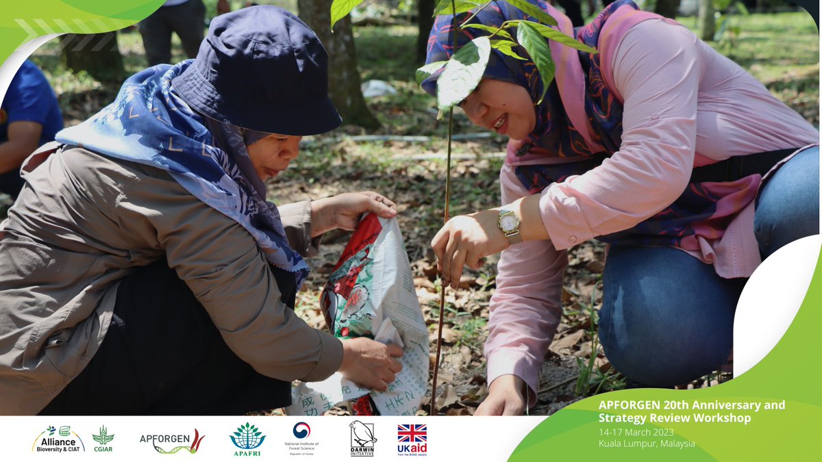BiovIntCIAT_eng's tweet image. Alliance 🤝 forestry champions. 
Over the years, we have forged strong partnerships with 15 countries to restore degraded forests in Asia 🌳 
This #ForestDay, learn how we champion forest genetic resources conservation in the tropics👇 
alliancebioversityciat.org/stories/partne…