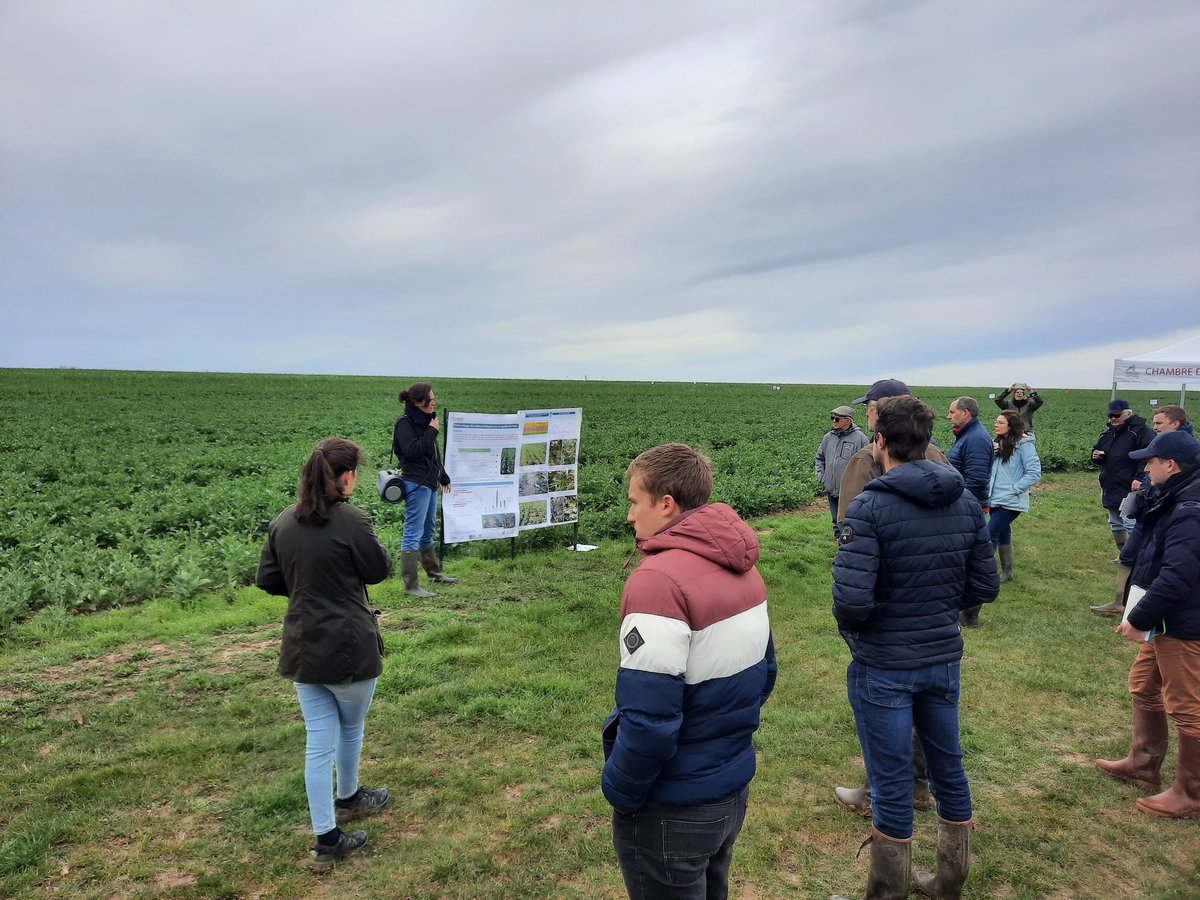 Marie MEYSSON tweet media