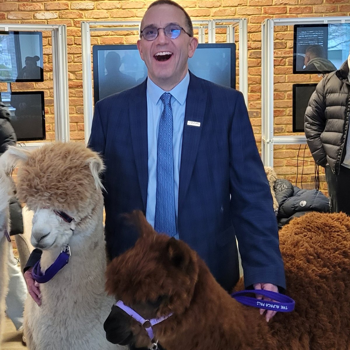 uniofwarwick's tweet photo. We've been delighted to welcome alpacas Pearl, Dante, Kya and Gisela to campus as part of a wellbeing initiative.

They've met students and staff across the University over the past few weeks, including in @WarwickHistory and @wmgwarwick. https://t.co/zP9gV6i6Yt