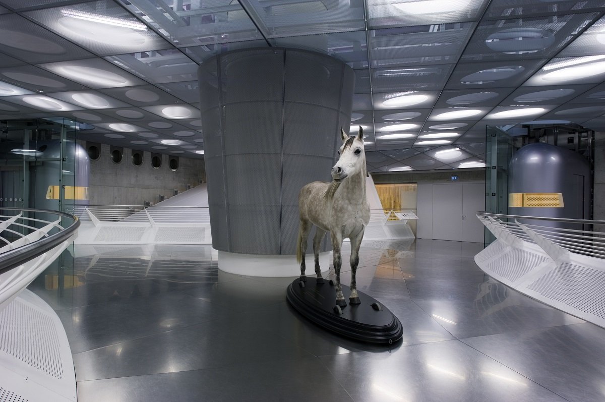 kohantoys's tweet photo. Cuando entras al museo Mercedes Benz en Stuttgart, sacás la entrada y tenés que tomarte un ascensor que te lleva al último piso. 
La primera sala que uno visita es amplia y tiene un techo vidriado, pero ningún auto en exhibición. 
.
A la salida del ascensor, te espera un caballo. https://t.co/4hG5Np01FP