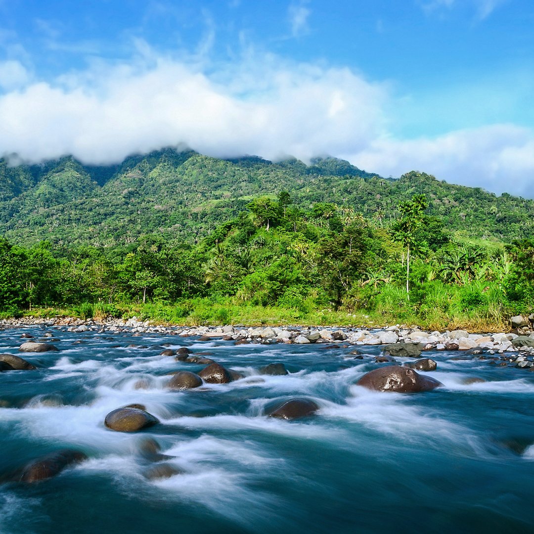 Celebrating International Forests &amp; World Water Day, the Aboitiz Group, through its subsidiary Apo Agua Infrastructura, affirm our commitment to care &amp; safeguard our natural resources for the benefit of all. 

#OneNewAboitiz #AboitizSustainability #IntlForestDay #WorldWaterDay