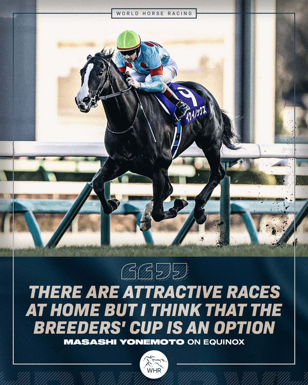 World Horse Racing on X: 
