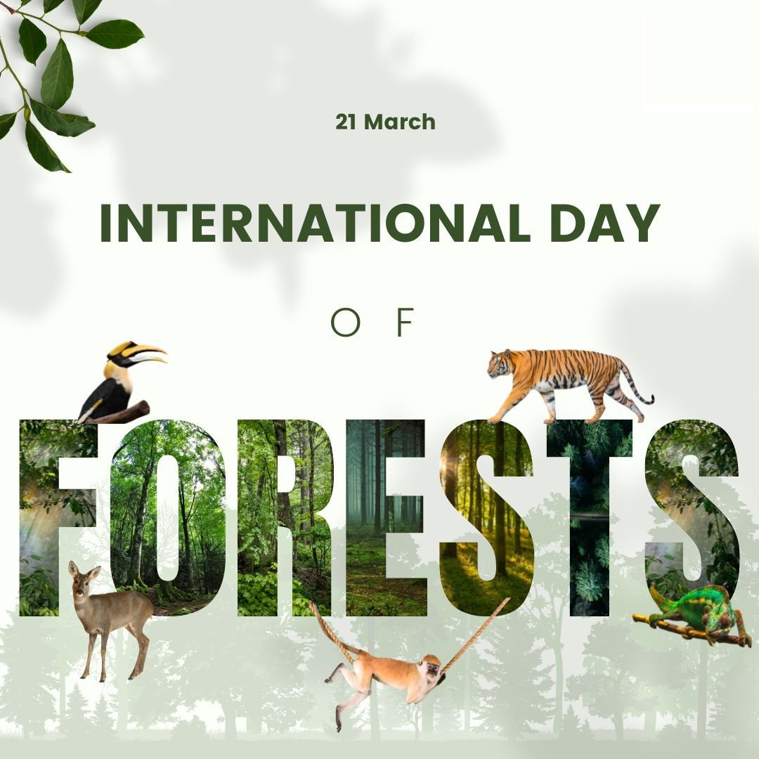 reecoupons's tweet image. Happy International Day of Forests! Let's protect our forests for a greener, healthier future 🌲🌿💚 

👉25% off the Collection with code LUCKY for the next 48 hours! ❤
🛒Shop Now: bit.ly/3JvNwMf

#HardMaple #BuiltWithF2H #Woodworking #Hardwood #Woodworker #Woodworkers