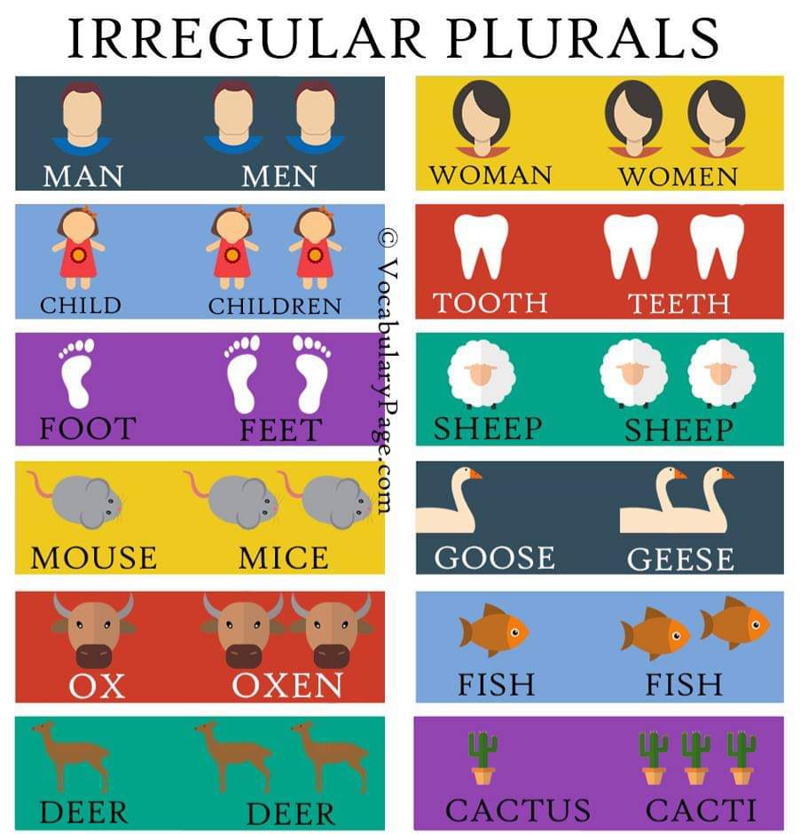 Irregular plural Nouns