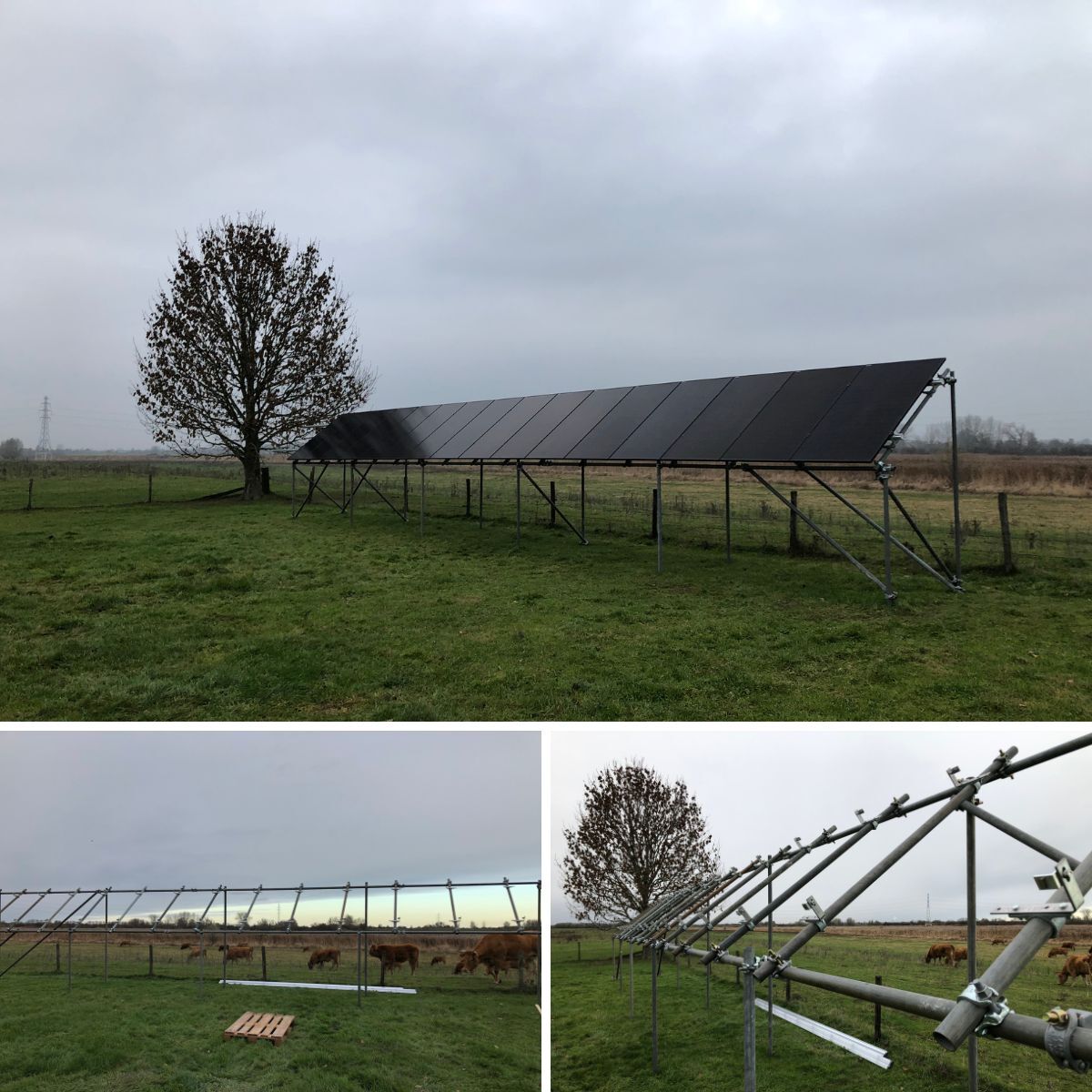 abstrading's tweet photo. Om voor een lokale ondernemer zonnepanelen in het veld te plaatsen, hebben we een draagconstructie gemaakt van traditioneel steigermaterieel. Volledig op maat en bestand tegen weer en wind!
✅ Makkelijk op maat te maken
✅ Robuust voor veldopstellingen
✅ Laagste materiaalkosten https://t.co/WtCCtedKco