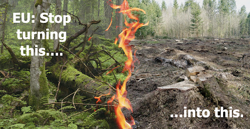 Did you know the EU rewards companies to burn forests for energy through #biomass incentives? 
Rules are being revised, but the @sweden2023eu presidency is blocking progress, misusing its role to push its own extreme position! @SteffiLemke #StopFakeRenewables on #IntlForestDay
