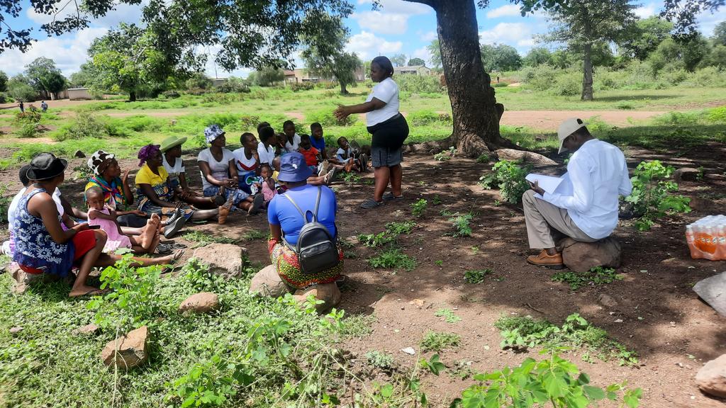 PYCDT (@pydt1) on Twitter photo As we continue celebrate the women's month our activist <a href="/CherryDee1992/">CHERRY CHERRY</a> met with 24 youth women at a women's hearing at Vheneka ward 27. Issues raised include: As we continue celebrate the women's month our activist <a href="/CherryDee1992/">CHERRY CHERRY</a> met with 24 youth women at a women's hearing at Vheneka ward 27. Issues raised include: