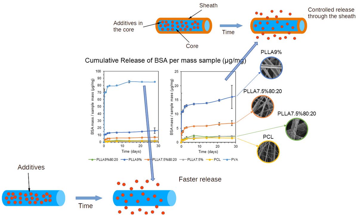 Uniaxial &amp; coaxial Polyvinyl Alcohol fibers were produced with different coating structures, obtaining both porous and non-porous coatings. Different release rates were obtained, which makes this drug release system suitable for different applications. <a href="/SMaresBou/">Sofia Mares</a> <a href="/MDPIOpenAccess/">MDPI</a>