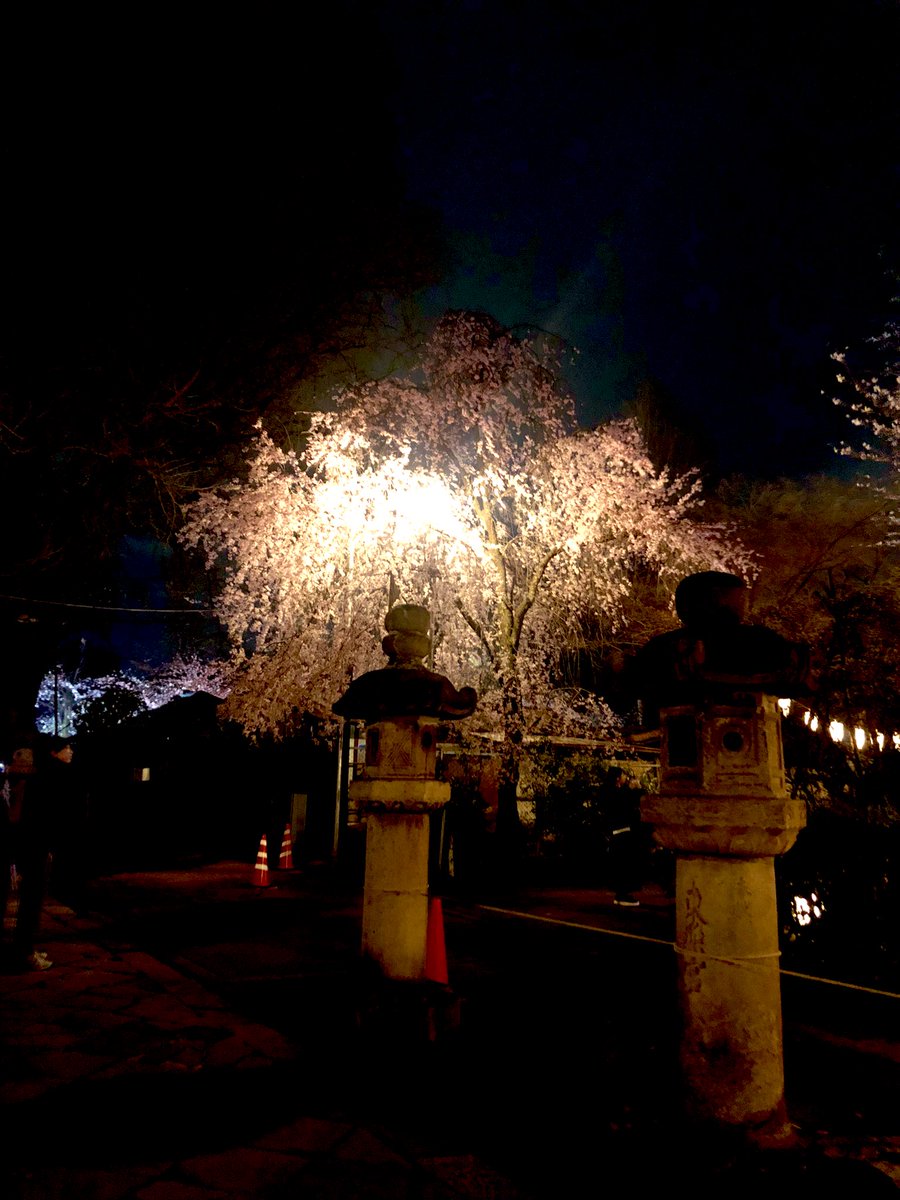 お花見🌸🥰🥰🥰🥰東京にきてよかった🌸🌸🌸 https://t.co/uuLue2ochO