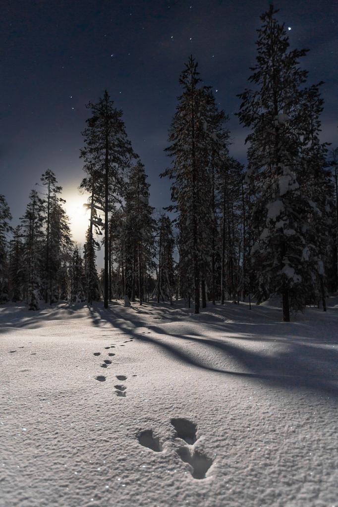 E-monsite.com tweet media