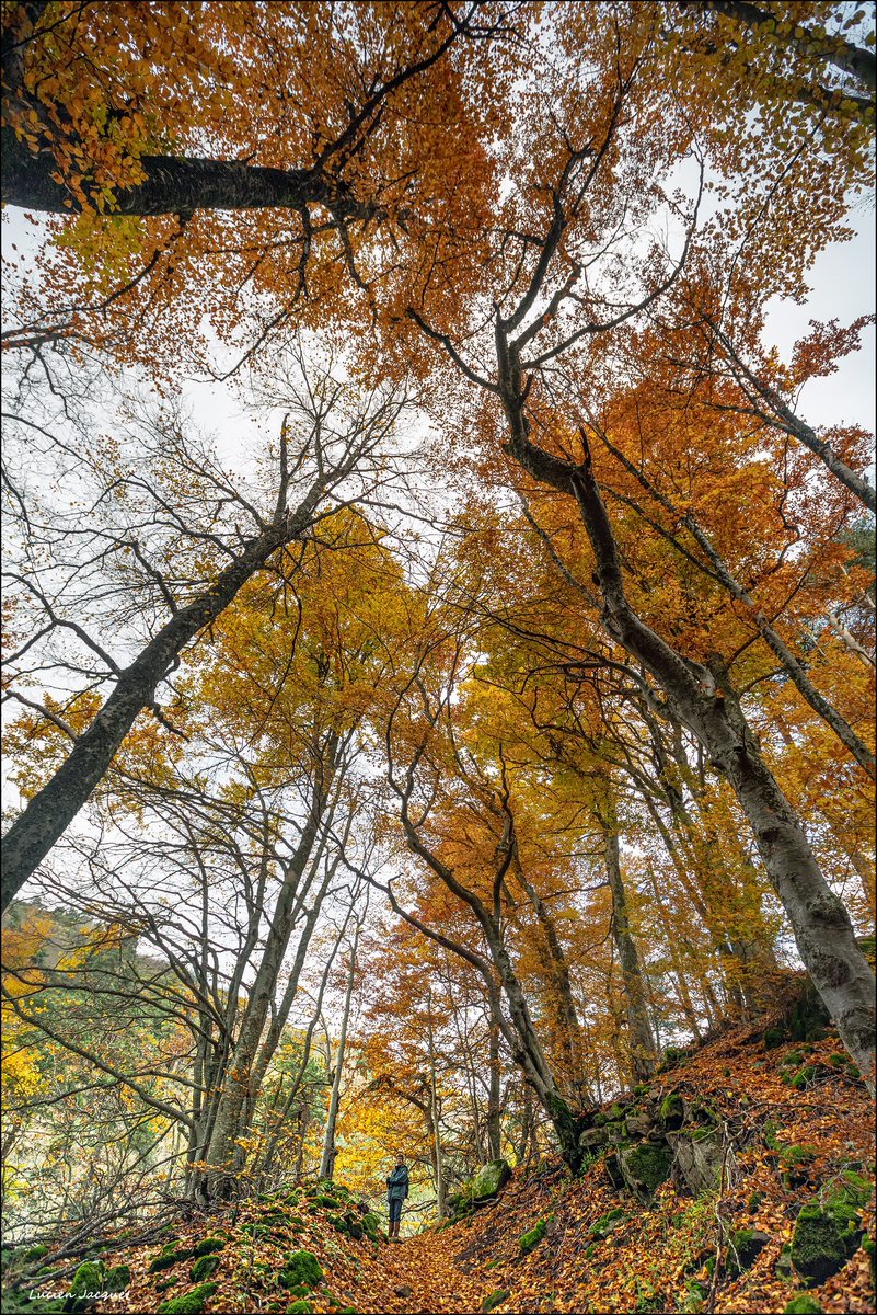 E-monsite.com tweet media