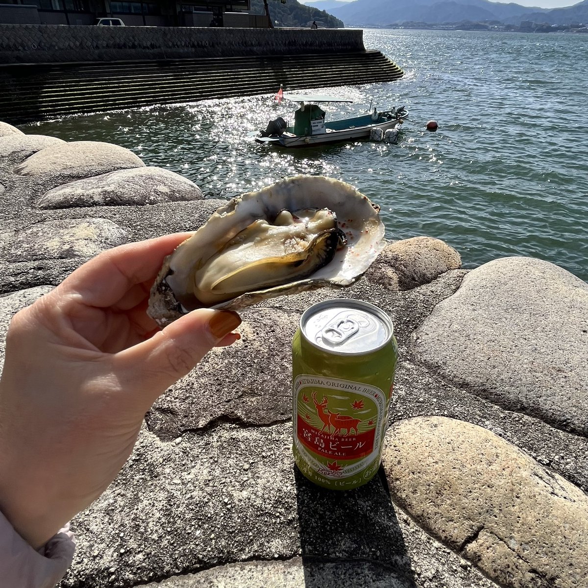 海に浮かぶ神社と鳥居⛩🍁🦌
見に行ったら〜
浮かんでにゃい😳‼️干潮の時来ちゃってショックー💦

鳥居にタッチできたし
美味しいもんいっぱい食べれたからいいや🦪🫶