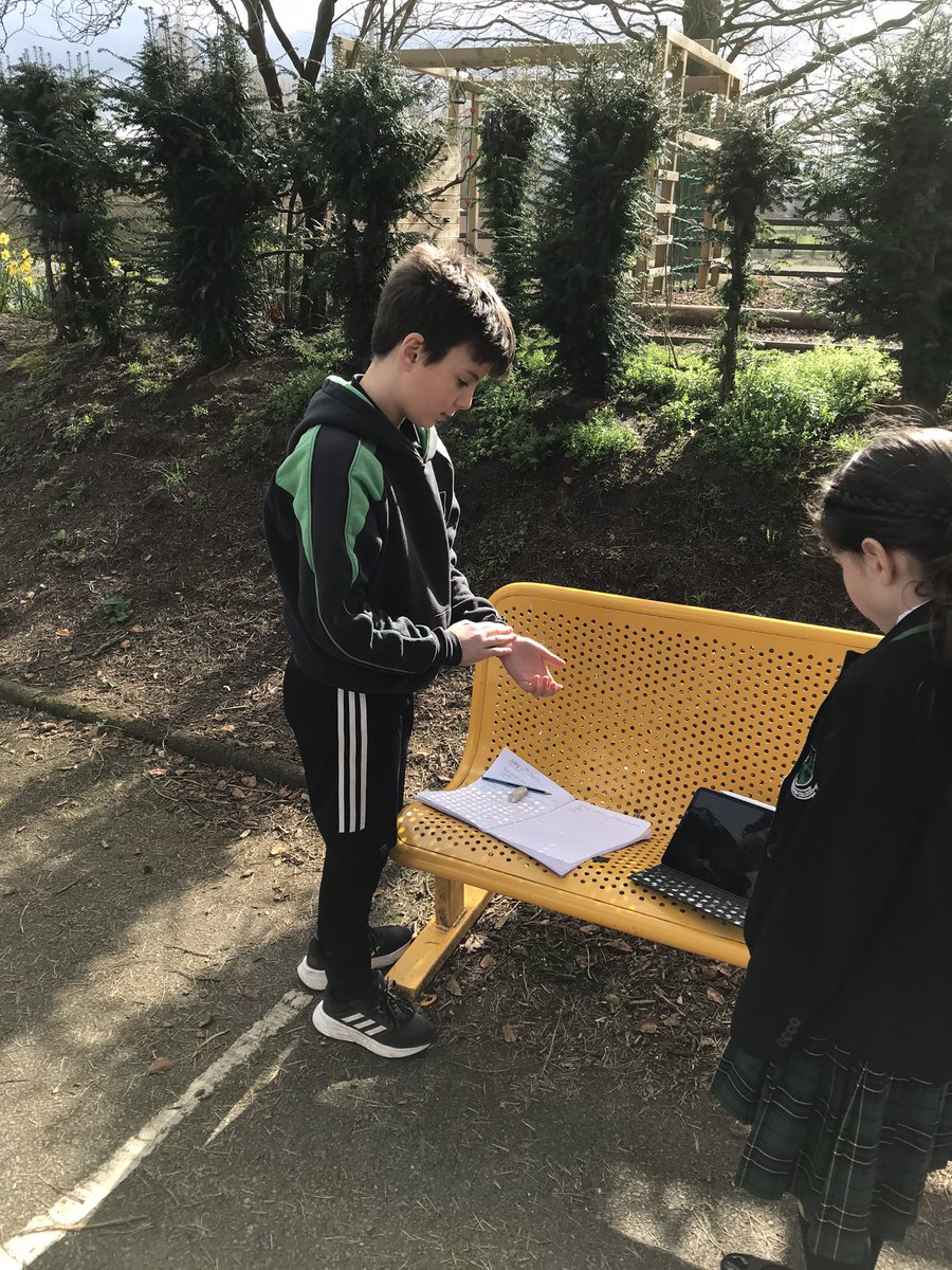 Myddelton_Prep's tweet photo. Upper Prep have been investigating how exercise effects their heart rate, luckily the sun came out too!

@MyddeltonColl #preparatoryschool #Science https://t.co/4fjXtvst7h