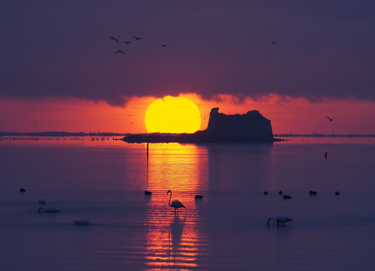 Tot i els núvols que hi havien a primera hora del matí, avui hem pogut disfrutar d'una bonica albada a la Torre de Sant Joan. 
@eltempsTV3 <a href="/catexperience/">Catalunya Experience</a> <a href="/visitcatalonia/">Visit Catalonia</a> <a href="/terresebretur/">Terres de l'Ebre</a> <a href="/EbreTerra/">EbreTerra</a> <a href="/TurismeLaRapita/">Turisme la Ràpita</a> <a href="/TurismeAmposta/">Amposta · Delta de l'Ebre</a> <a href="/turismecat/">Turisme</a>