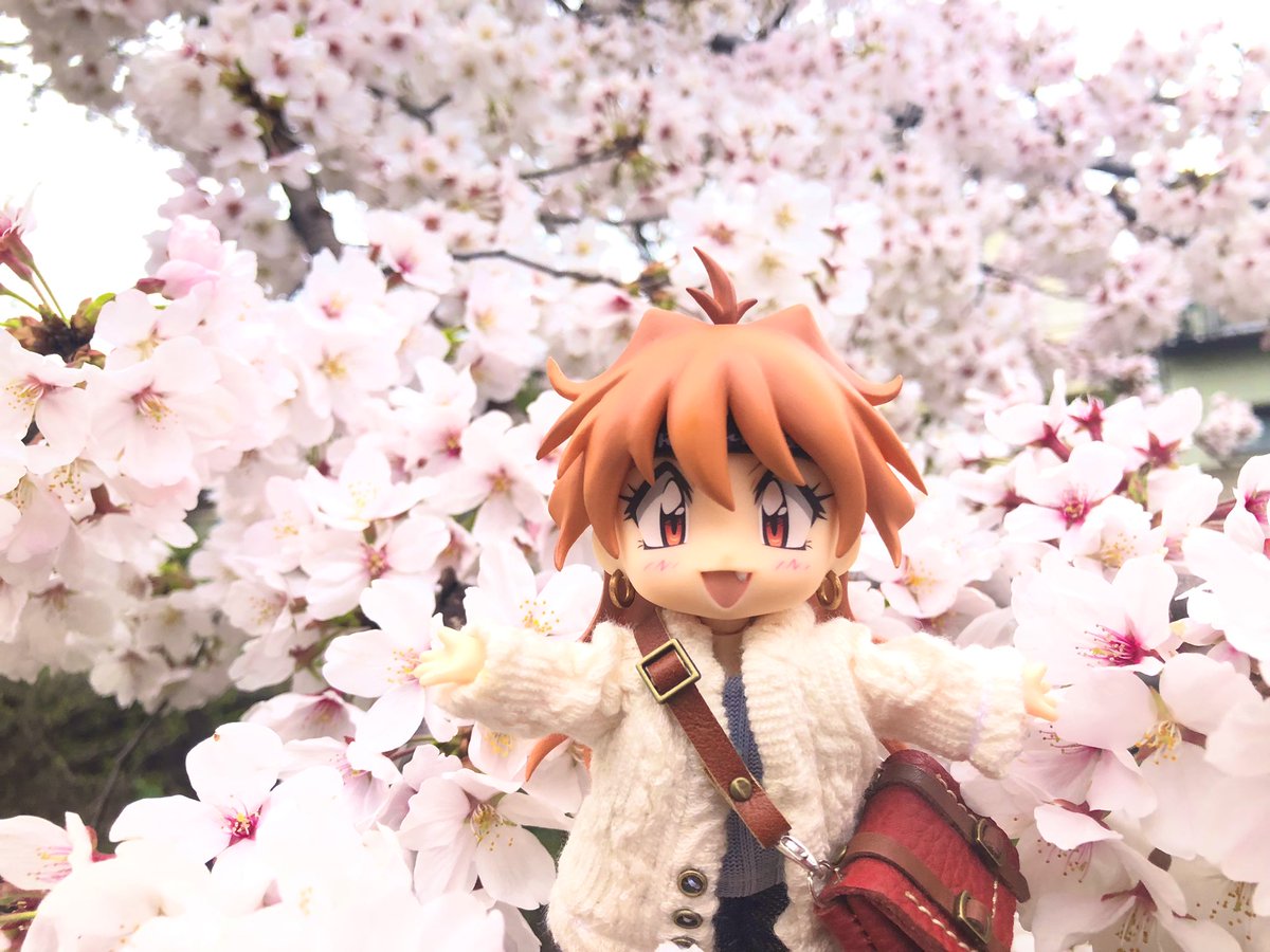 ねんどろリナちんとお花見してきたよー！🌸すっかり春だ。お花の下でご飯も食べたかったな🍱✨