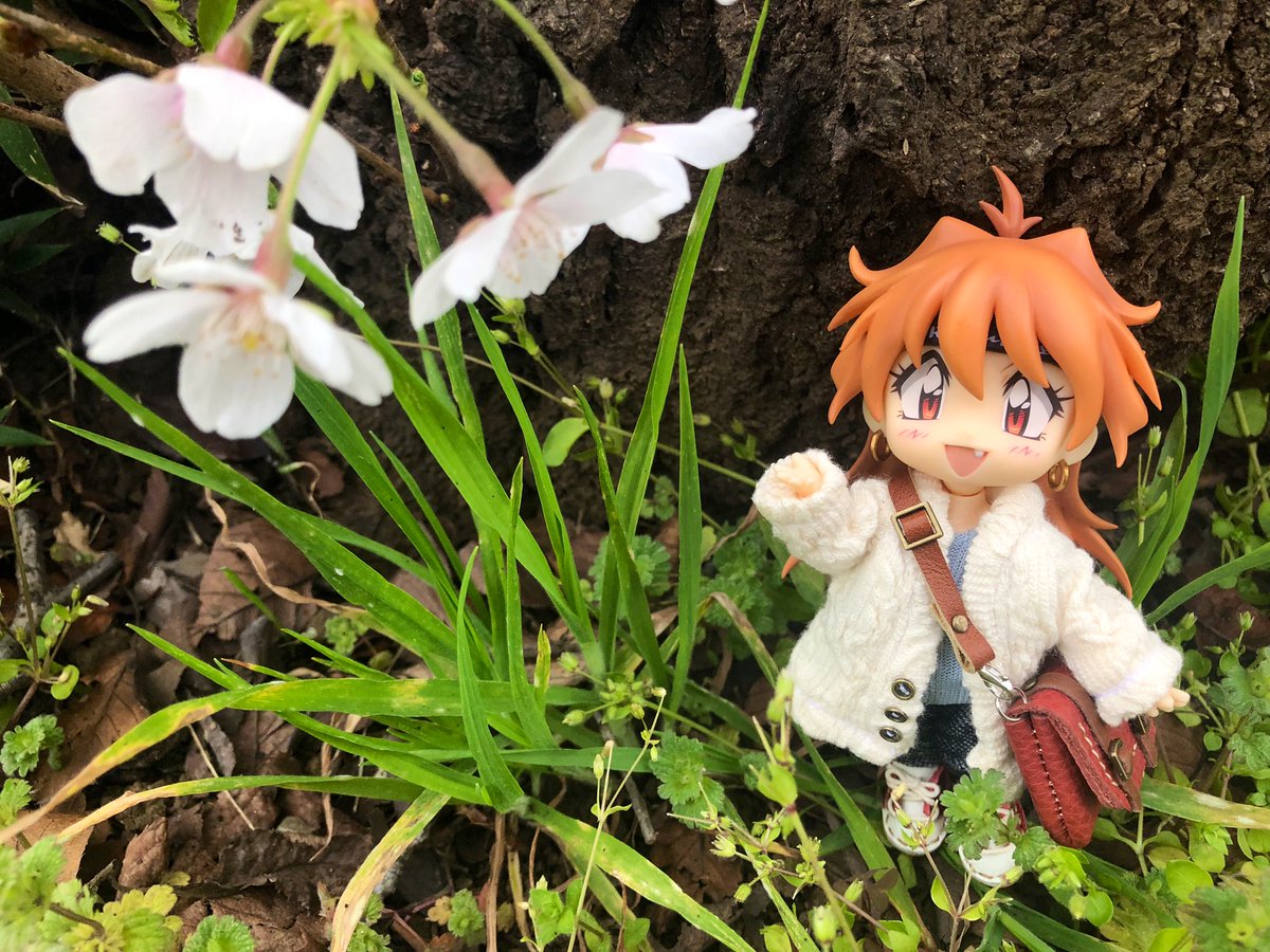 jyuno_letsgo's tweet photo. ねんどろリナちんとお花見してきたよー！🌸すっかり春だ。お花の下でご飯も食べたかったな🍱✨ https://t.co/4AyjpNtQQx