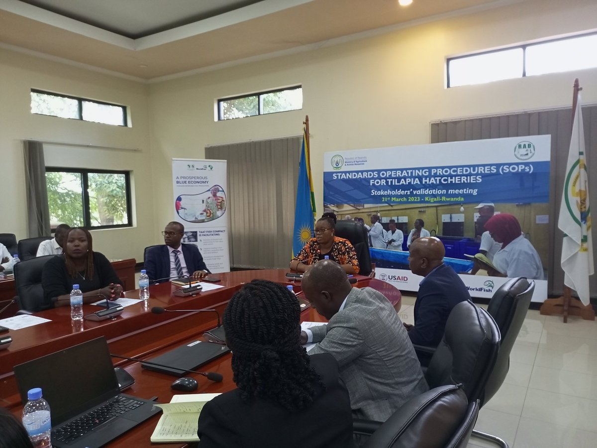 RARICO8's tweet photo. It's very pleasure to participate in the validation meeting of #SOPs_for_Tilapia_hatcheries in Rwanda organized by @RwandaAgriBoard. The event bring more than 35 hatchery owners under one roof. https://t.co/YS6KirNCiK