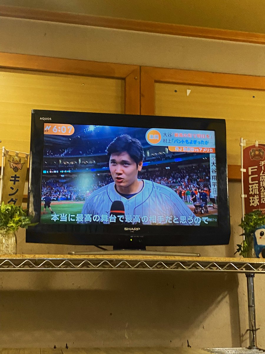 Lucy Amaral tweet media