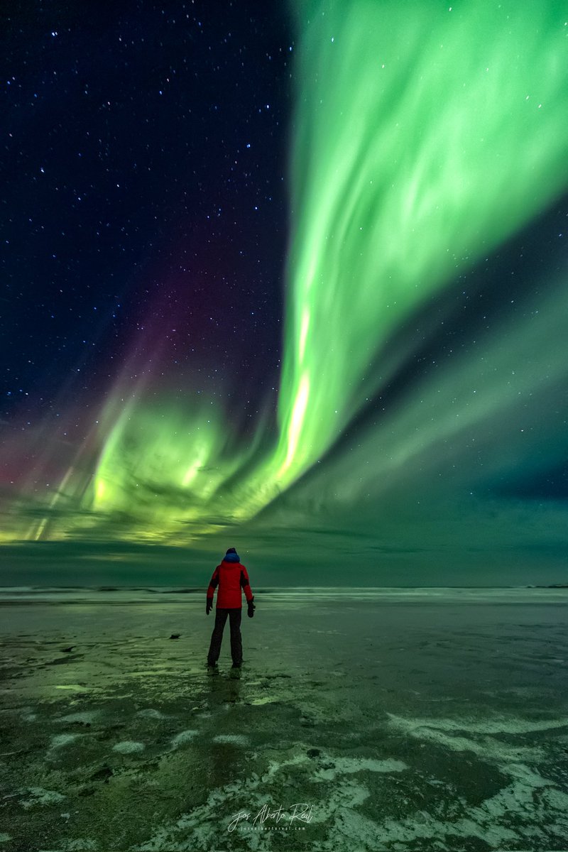 Contemplando  asombrado y emocionado la espectacular aurora boreal en la playa helada de Stokksnes, Islandia.

josealbertoreal.com

#Fotografia #islandia #iceland  #canonespaña  #canoniceland  #fotografianocturna   #fotografiapaisaje #fotografiaarquitectura