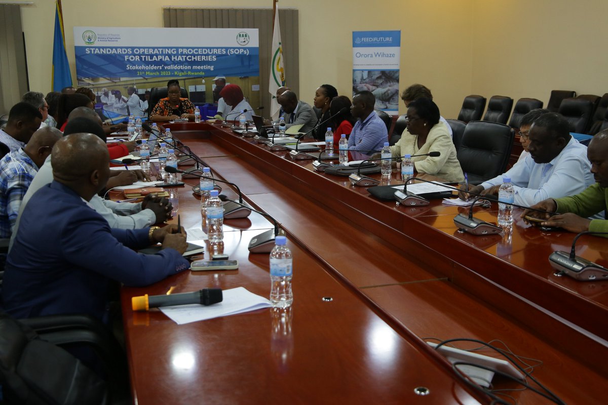 Today at MINAGRI, a workshop was held to validate Standard Operating Procedures (SOPs) for tilapia hatcheries. Participants at the meeting include managers of fish hatcheries in Rwanda, fish and aquaculture sector stakeholders, experts, investors, and researchers among others.