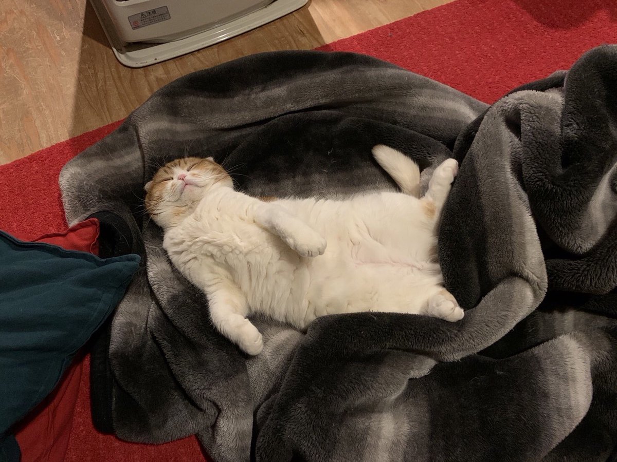 aktrbb's tweet image. 