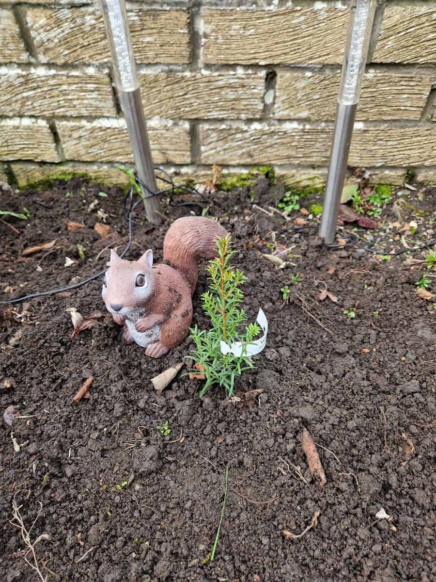 Shop TreeTime Edinburgh TreeTime Edinburgh