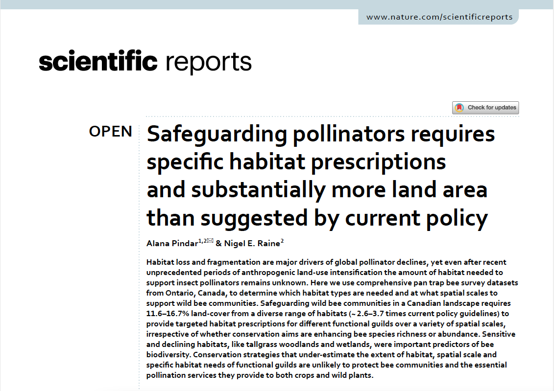 NigelERaine's tweet photo. New @SciReports paper from Dr. @AlanaPindar showing that safeguarding wild #bee communities requires specific habitat prescriptions &amp; substantially more land area than suggested by current policies: https://t.co/HvqlWm3HPw
#OpenAccess #Pollinators https://t.co/3e0Q8MeUUP