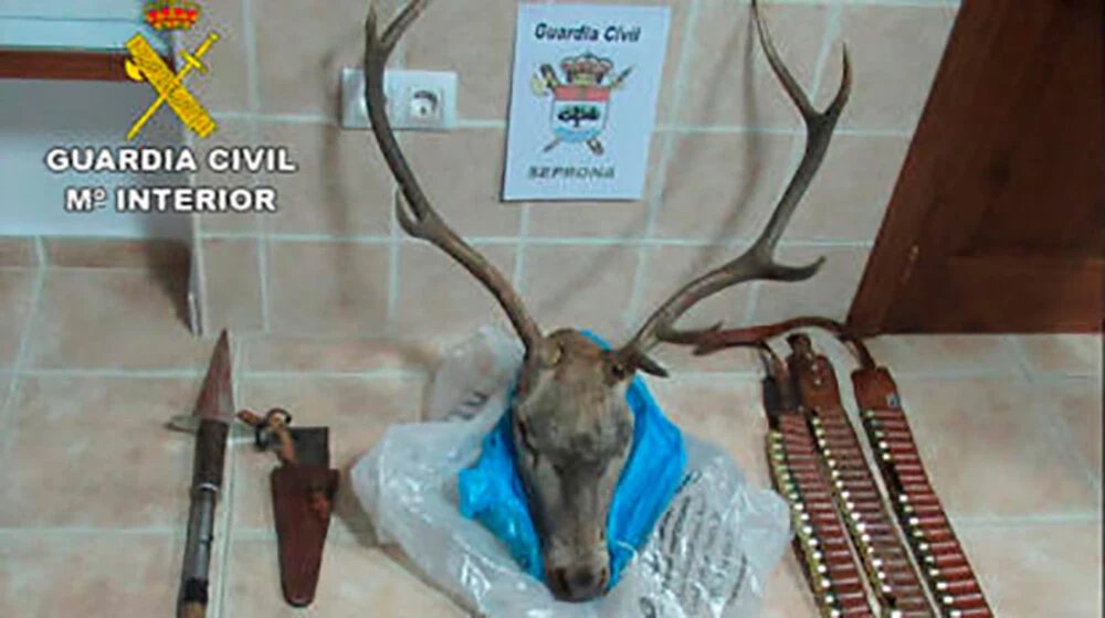 AlbertoRSaeta's tweet photo. El caso aislado de hoy: El fiscal pide 9.000 euros y tres años sin cazar para tres cazadores por furtivos en Cervera del Pisuerga (Palencia) https://t.co/yHbOolkxnf a través de @diariopalentino https://t.co/7jwCvo6AYH