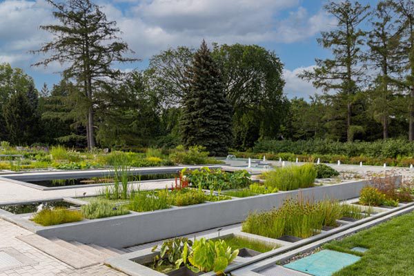 use. urban sustainability exchange (@use_platform) on Twitter photo The Phytotechnology Stations set up in Montréal's Botanical Garden won the <a href="/AIPHGlobal/">AIPH</a> #WorldGreenCityAwards in the category: Living Green for Water. Learn more about the project here: 👉use.metropolis.org/case-studies/p…
<a href="/AIPHGreenCity/">AIPHGreenCity</a> <a href="/EspacePourLaVie/">Espace pour la vie</a>
<a href="/MTL_Ville/">Ville de Montréal</a> The Phytotechnology Stations set up in Montréal's Botanical Garden won the <a href="/AIPHGlobal/">AIPH</a> #WorldGreenCityAwards in the category: Living Green for Water. Learn more about the project here: 👉use.metropolis.org/case-studies/p…
<a href="/AIPHGreenCity/">AIPHGreenCity</a> <a href="/EspacePourLaVie/">Espace pour la vie</a>
<a href="/MTL_Ville/">Ville de Montréal</a>
