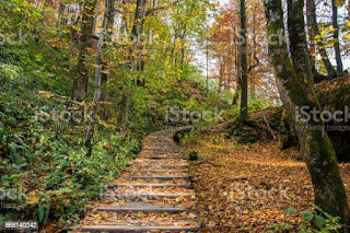 #Weather #Weathercloud #WeatherUpdate #weatheraware #WeatherForecast #mahirakhan #weathertweet #Weathernews 
The Best Free Weather Apps to Check Before You Step Outside
 Digital Trends in Personalized Weather
 My Favorite App To Track The Weather
hubweather.com/2022/10/the-be…