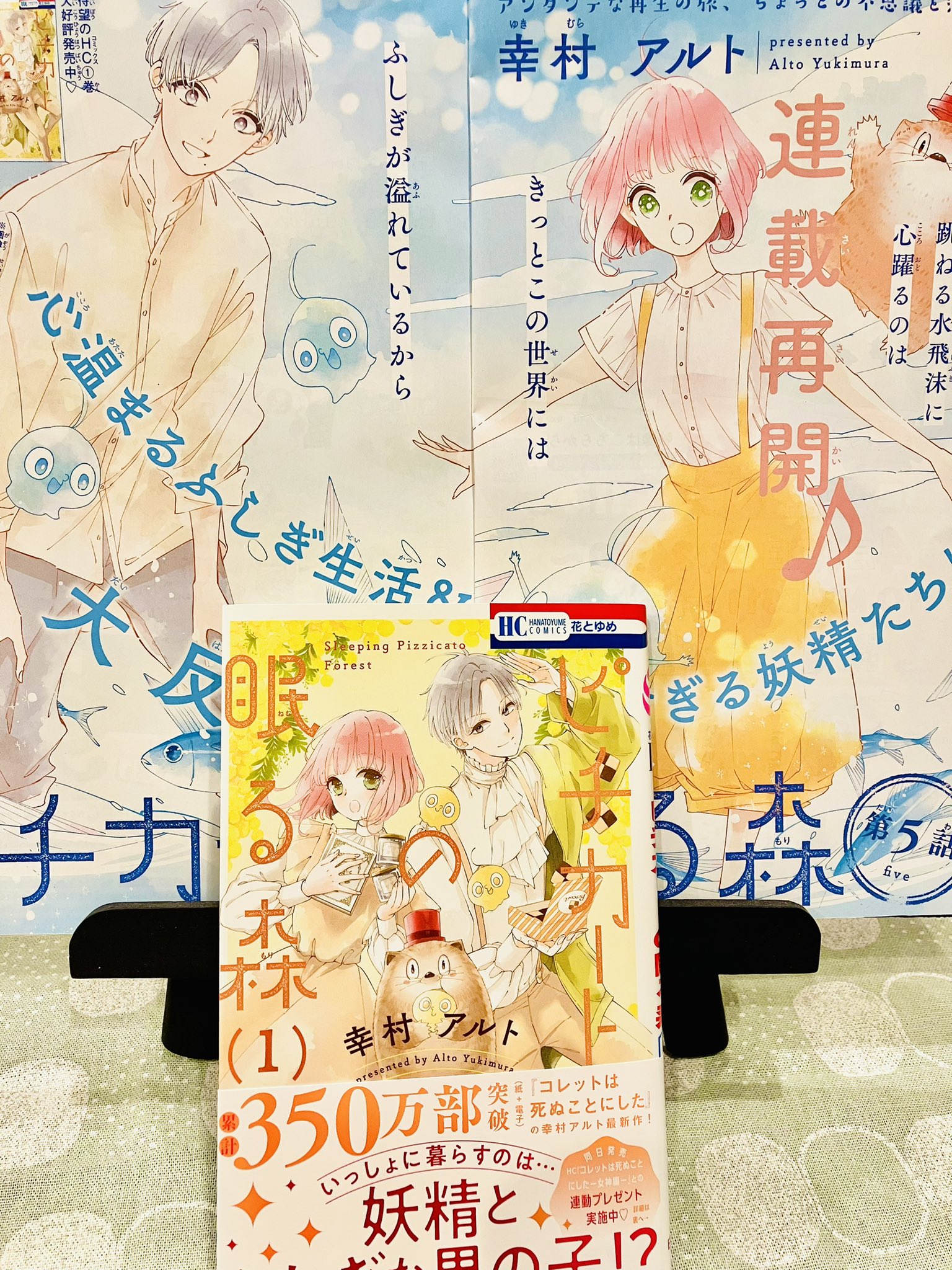 幸村アルト＠ピチカートの眠る森🍪🦔 on X: 