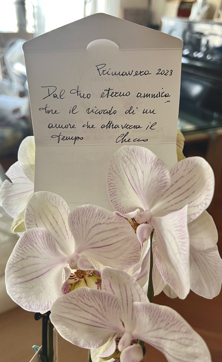 oggi entra la primavera e come ogni anno - da 40 anni - papà manda i fiori a mamma