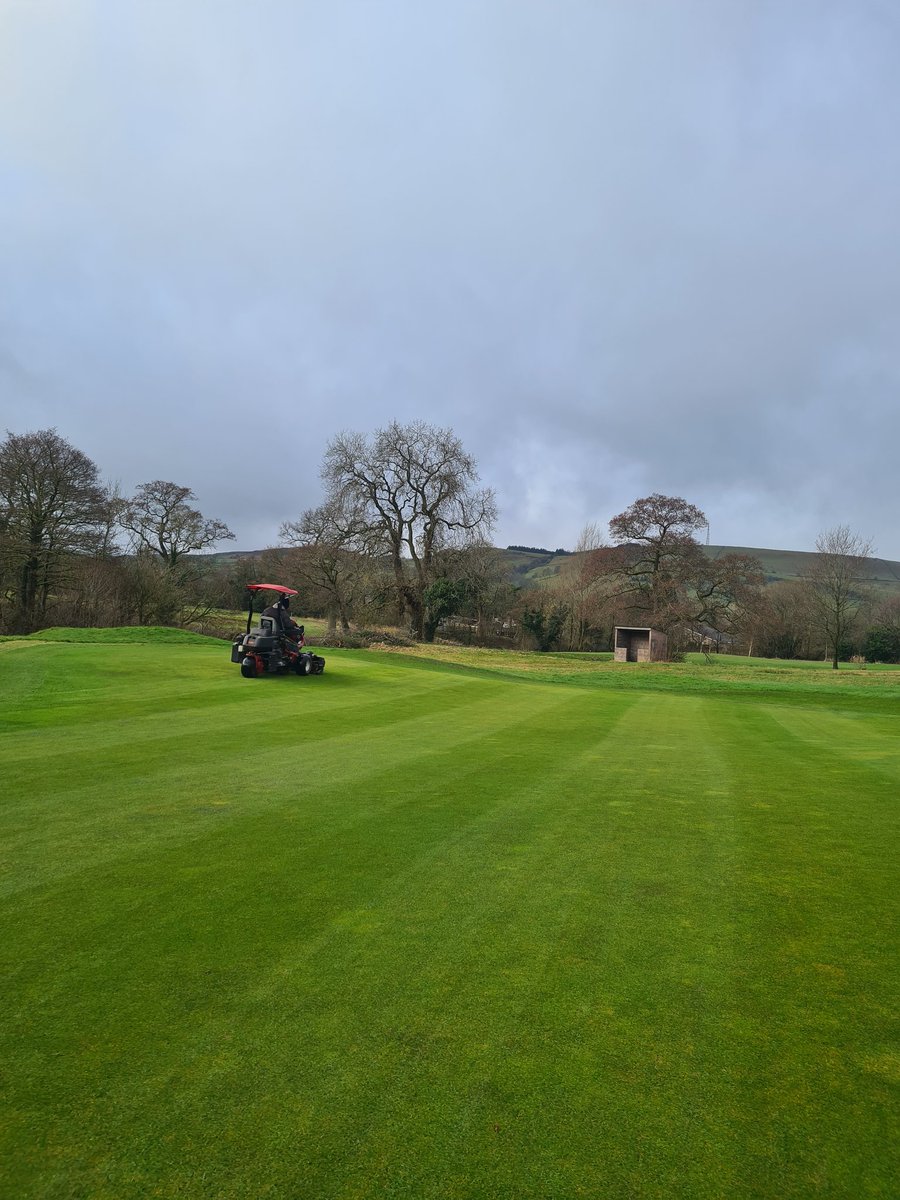 It was a 2 man job getting the mower round at times this morning, but managed to give the gives a much needed cut
