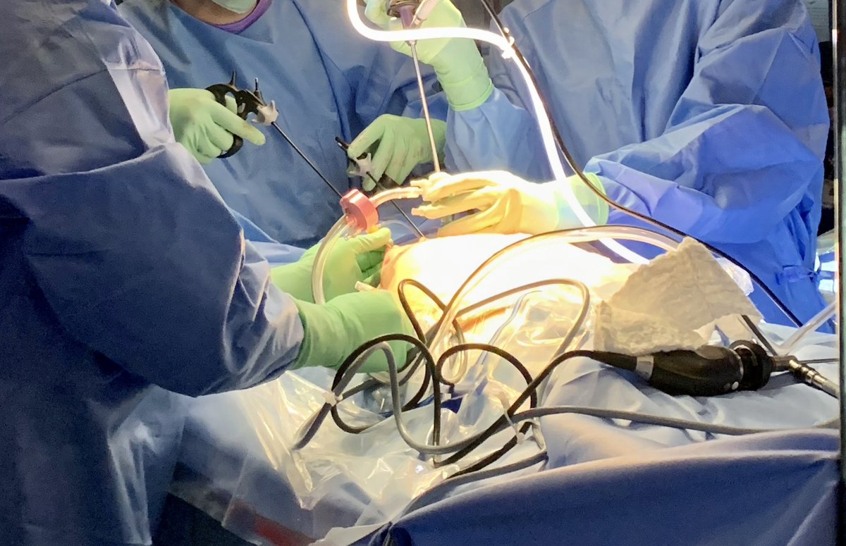 It is important to clarify…the term “fetal surgery” is a misnomer. 

The role of the mother should not be minimized. This is a dangerous notion.

The appropriate term is, “MATERNAL-FETAL SURGERY”.

<a href="/MySMFM/">SMFM</a> <a href="/acog/">ACOG</a>