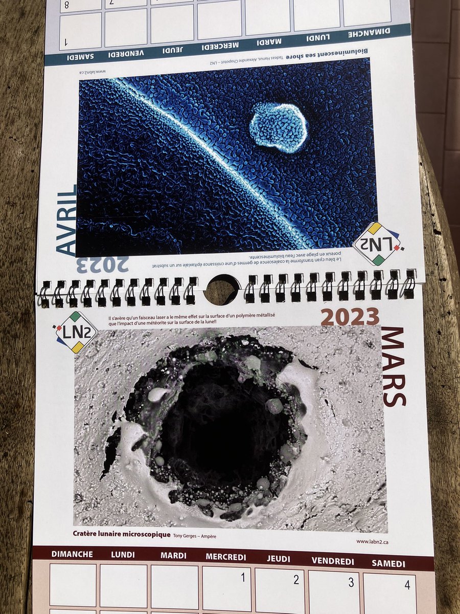 Recherche_JPB (@jp_berto) on Twitter photo #Springtime ! C’est le printemps2️⃣0️⃣2️⃣3️⃣. L’occasion de rappeler l’existence de ce magnifique calendrier de l’<a href="/UMI_LN2/">UMI LN2</a> rempli de photos aux échelles nano ! cc @INSIS_CNRS <a href="/USherbrooke/">Université de Sherbrooke</a> <a href="/genieUdeS/">Faculté de génie</a> <a href="/insadelyon/">INSA Lyon</a> <a href="/CentraleLyon/">Centrale Lyon</a> #nanotechnologies Mais que la nature est belle ! #Springtime ! C’est le printemps2️⃣0️⃣2️⃣3️⃣. L’occasion de rappeler l’existence de ce magnifique calendrier de l’<a href="/UMI_LN2/">UMI LN2</a> rempli de photos aux échelles nano ! cc @INSIS_CNRS <a href="/USherbrooke/">Université de Sherbrooke</a> <a href="/genieUdeS/">Faculté de génie</a> <a href="/insadelyon/">INSA Lyon</a> <a href="/CentraleLyon/">Centrale Lyon</a> #nanotechnologies Mais que la nature est belle !