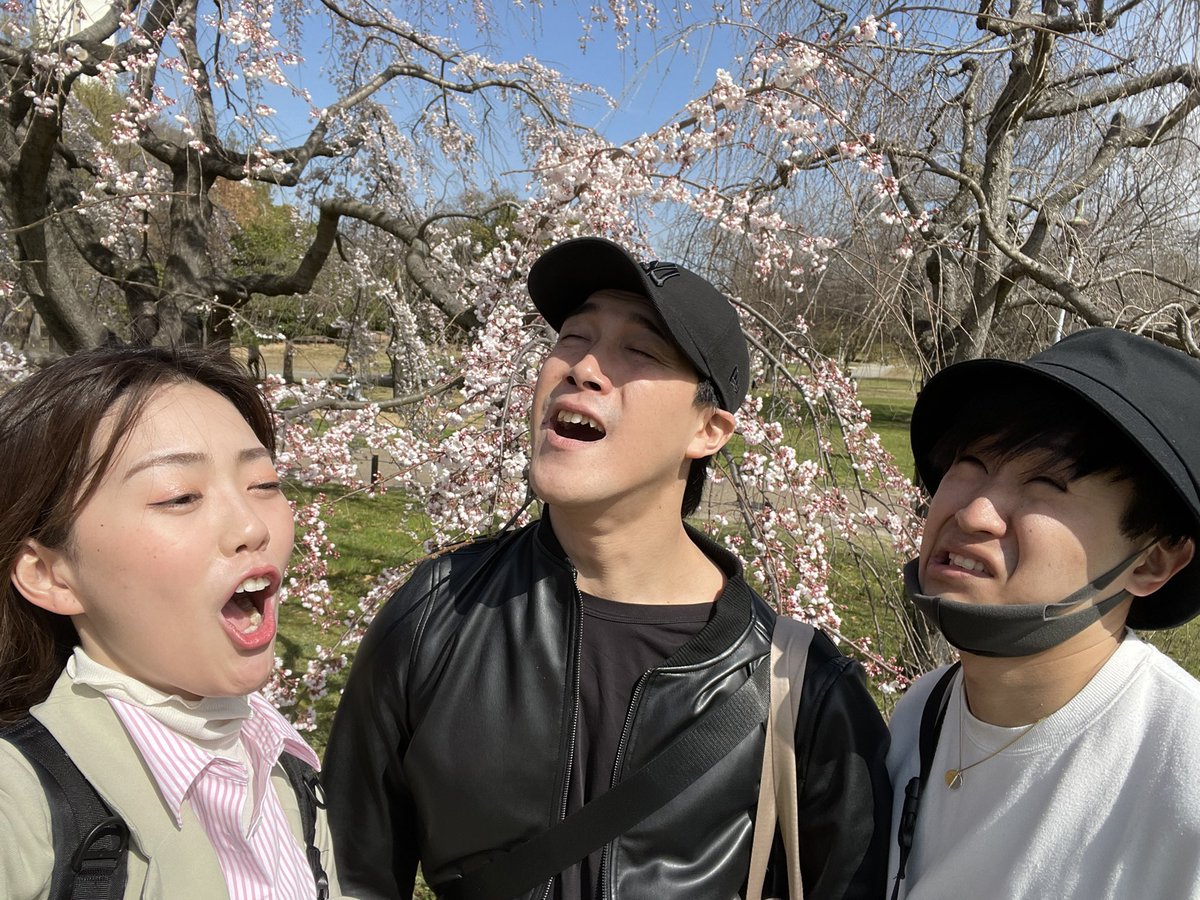 Reprise_miki's tweet photo. 昨日はいい天気だったのでお花見🌸
みなさんはもうお花見されましたか？🙃🤍
#リプライズ https://t.co/GGuYH4s2US